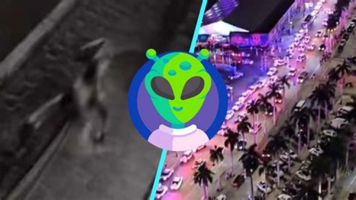 Aliens in Miami: Unveiling the Extraterrestrial Mystique