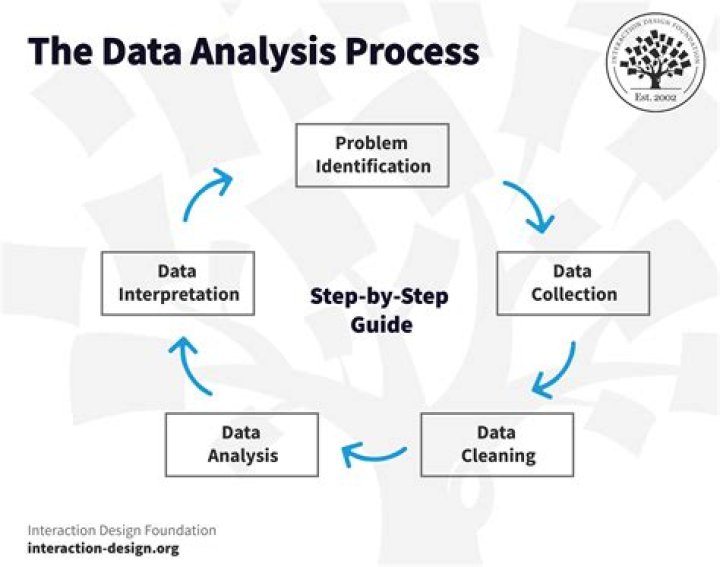Analyze This: Understanding the Importance of Data Analysis in Today's World