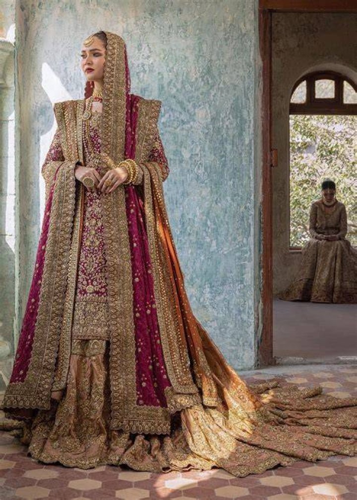 Ayesha Khan: The Journey of a Pakistani Star