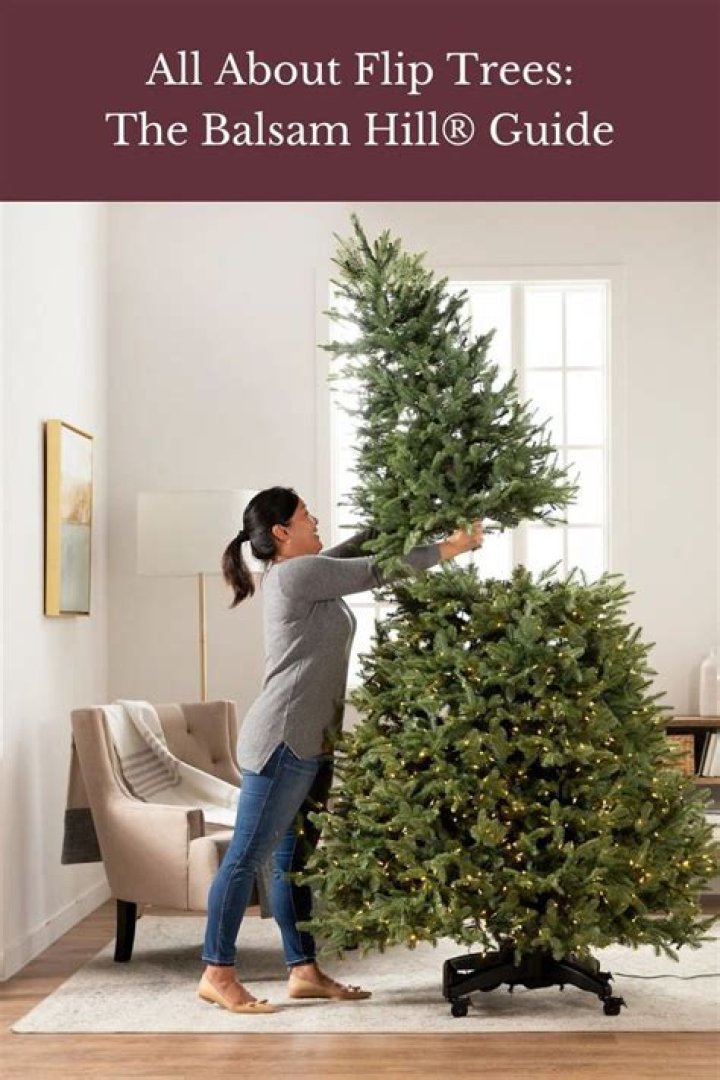 Balsam Hill Christmas Trees Clearance: The Ultimate Guide to Finding Your Perfect Holiday Tree