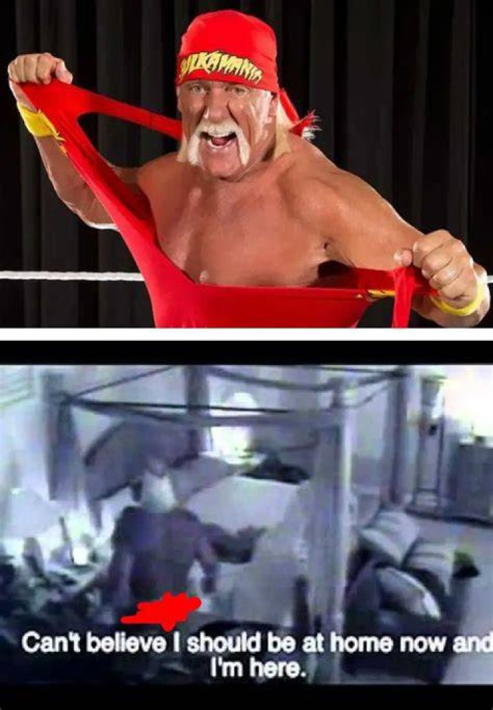Behind the Curtain: The Hulk Hogan Sex Video Scandal