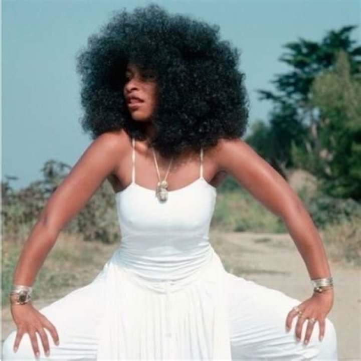 Chaka Khan Real Hair: Uncover the Truth Behind the Iconic Look