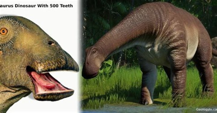 Dino with 500 Teeth: The Fascinating World of Tooth Count in Dinosaurs