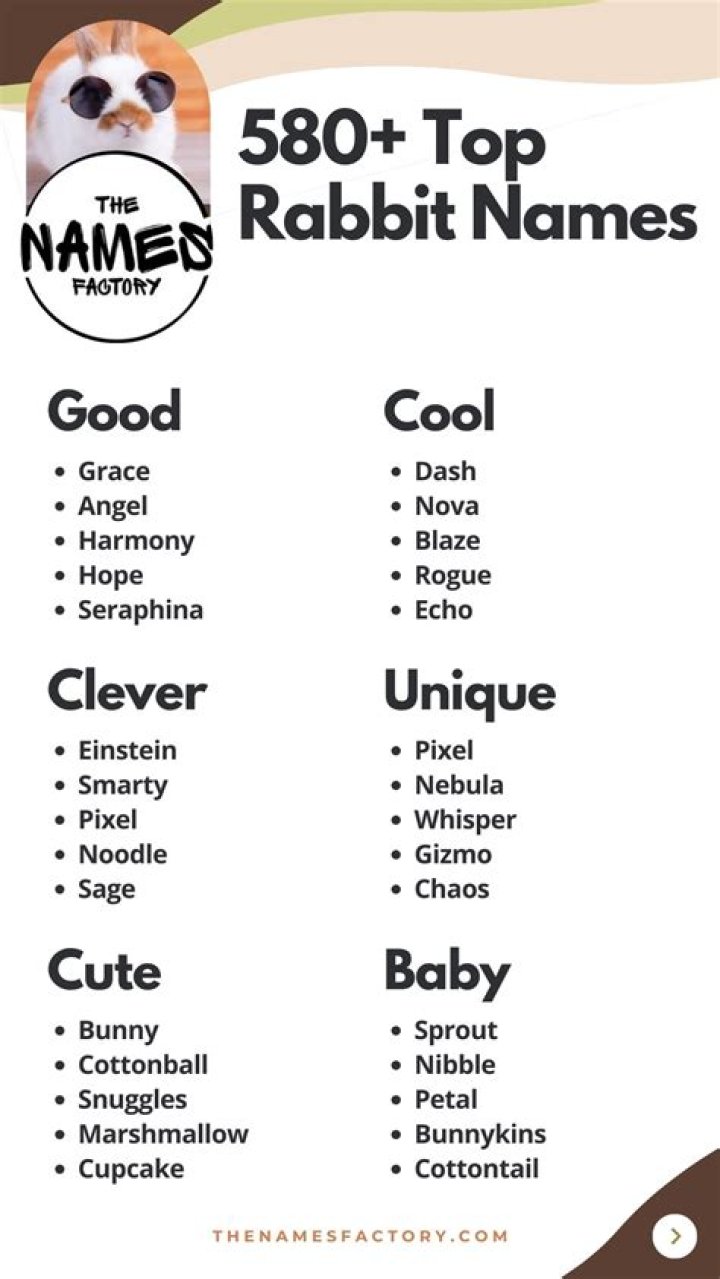 Discover Adorable Bunny Names: A Comprehensive List for Your Furry Friend
