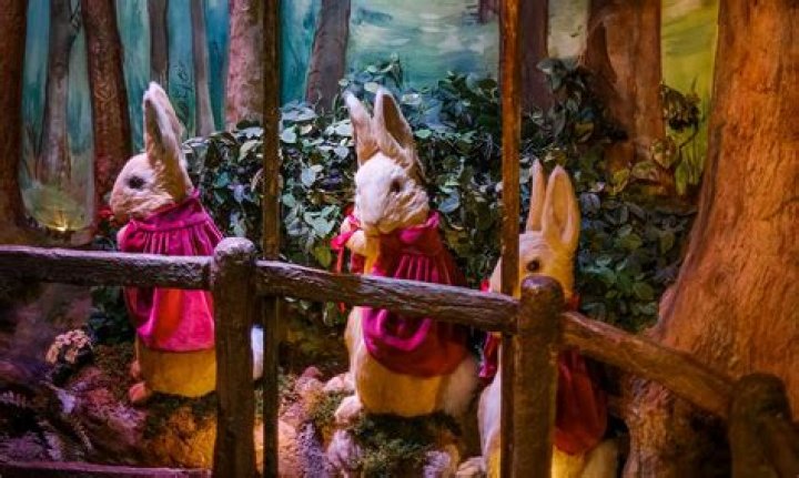Discover the Enchanting World of Linda Kozlowski: Actress, Conservationist, and More