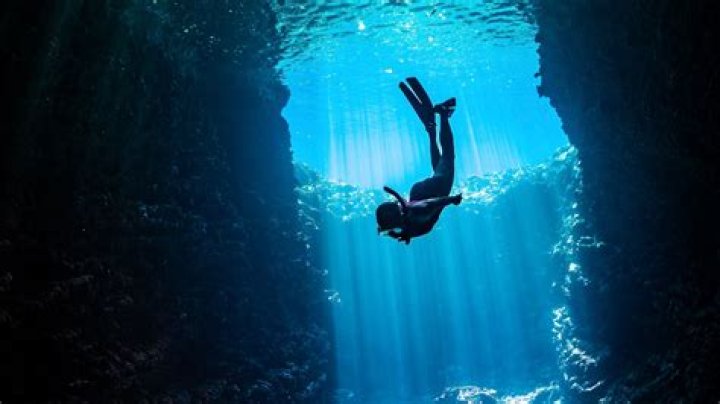 Discovering the World of Jackerman 3D Latest: A Deep Dive