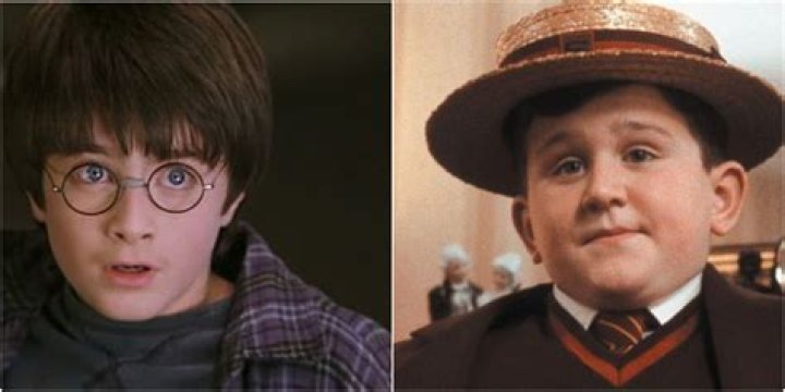 Dudley Dursley: The Life and Times of Harry Potter's Cousin