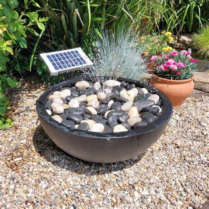 Enhance Your Pond with Solar-Powered Illumination