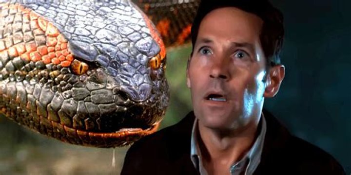Exploring the Best Paul Rudd TV Shows: A Journey Through His Career