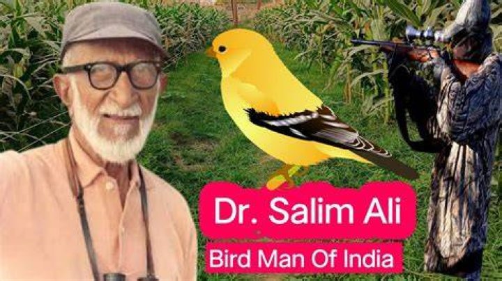 Exploring the Life and Career of Dar Salim: A Comprehensive Biography