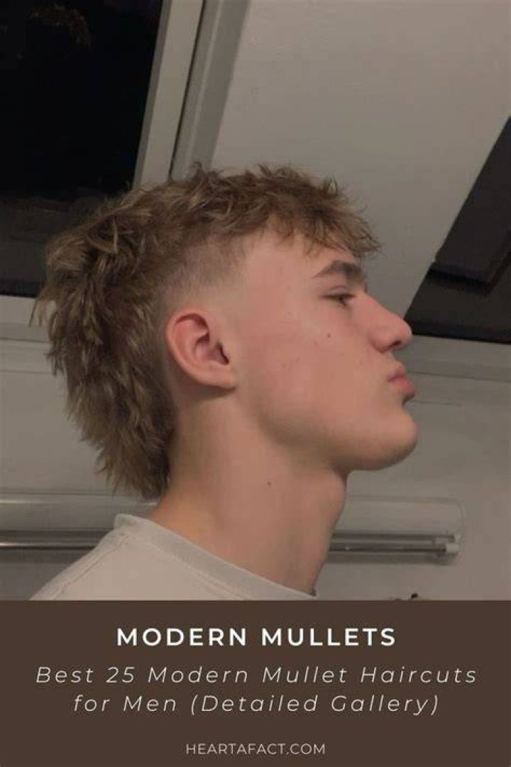 Exploring the Modern Mullet Taper: A Trend in Hair Fashion