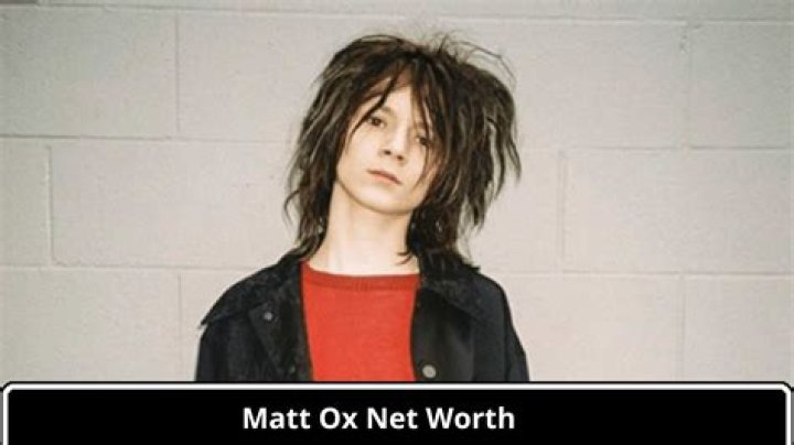 Exploring the Net Worth of Matt Dillon: A Comprehensive Overview
