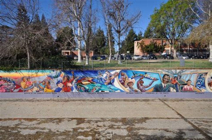 Exploring the Vibrant Roots of Snoopogg's Hometown