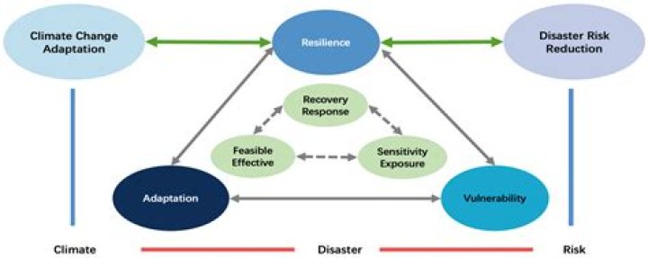 Fieldy Korn 2024: A Journey of Resilience and Transformation