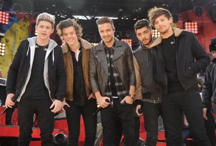 Five Former Members of One Direction: Harry, Zayn, Louis, Liam, and Niall