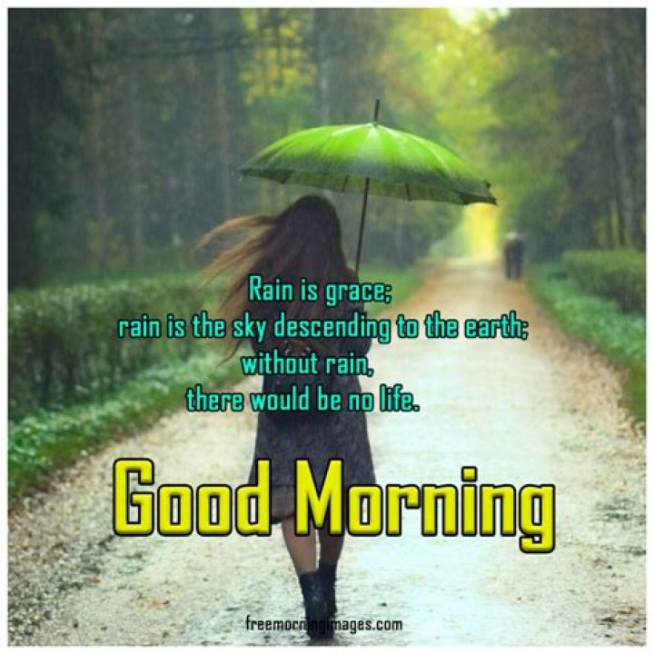 Good Morning Rain: The Beauty and Serenity of Rainy Mornings