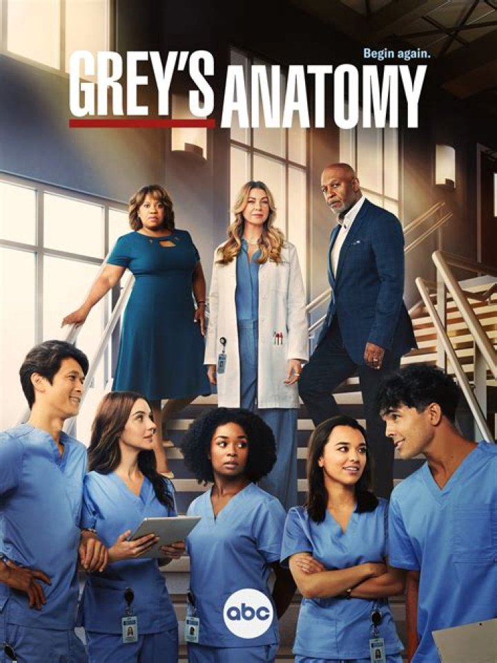 Grey's Anatomy: The Complicated Love Story of Alex and Izzie