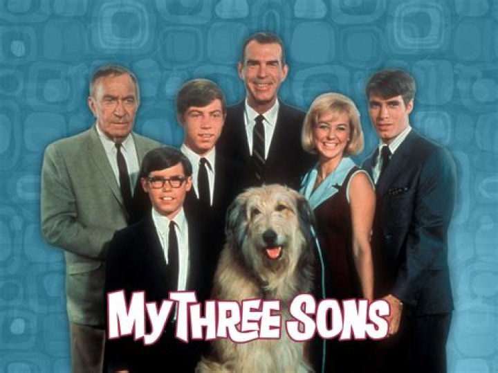Hank on My 3 Sons: A Comprehensive Look at the Iconic Character