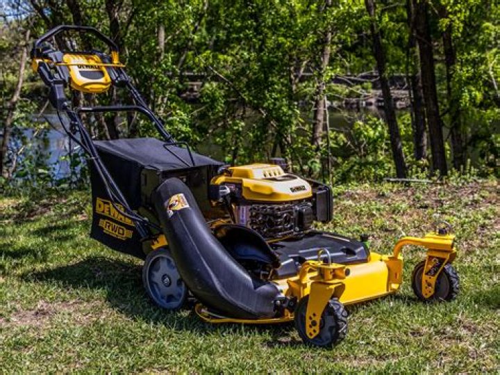Is a Self-Propelled Lawn Mower Worth the Investment?