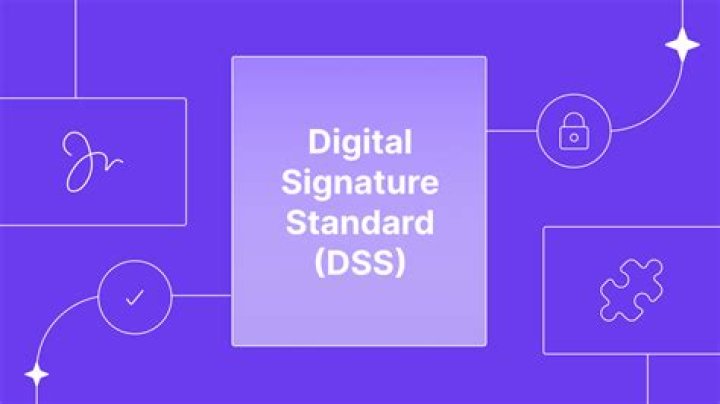 Mastering Masa49com: A Comprehensive Guide to the Digital World