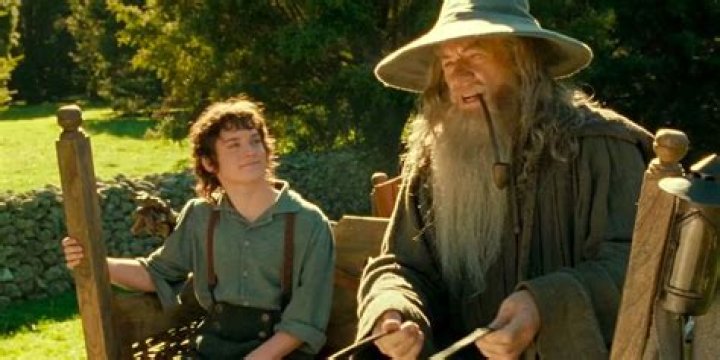 Meet the Talented Actor Behind Frodo Baggins in Lord of the Rings