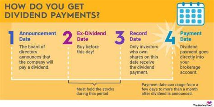 PCM Dividend History: A Detailed Look at Dividend Payments