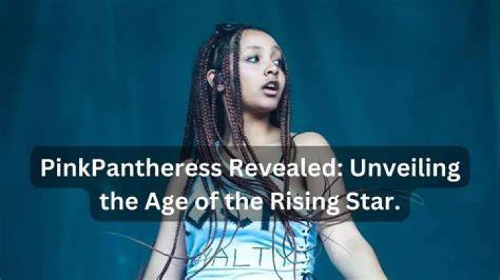 PinkPantheress Net Worth: Unveiling the Rising Star's Wealth