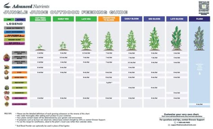 Proven Techniques: Mastering Soil for Optimal Weed Plant Growth