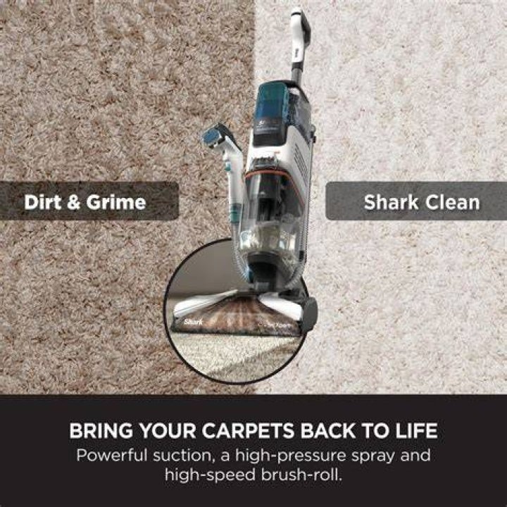 Shark Carpet Expert: The Ultimate Guide to Understanding and Maintaining Your Shark Carpet