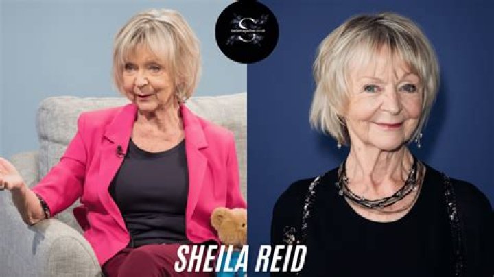 Sheila Eddy: A Comprehensive Look at Her Life and Career