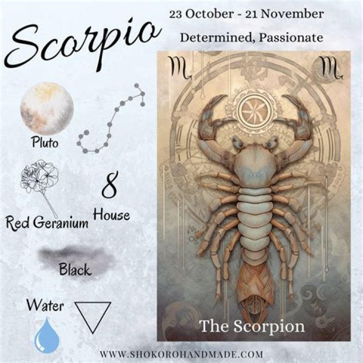 Star Sign for November 15: Understanding Scorpio Traits and Characteristics