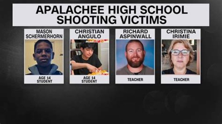 Suspect in Georgia School Shooting: A Comprehensive Analysis