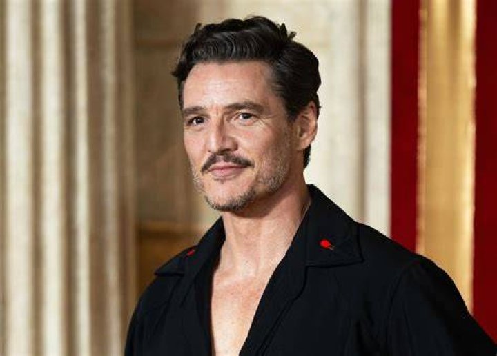 The Enigmatic Life of Pedro Pascal's Wife