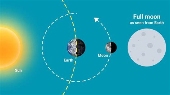 The Enlightening Journey of Molly Moon: A Nun's Perspective