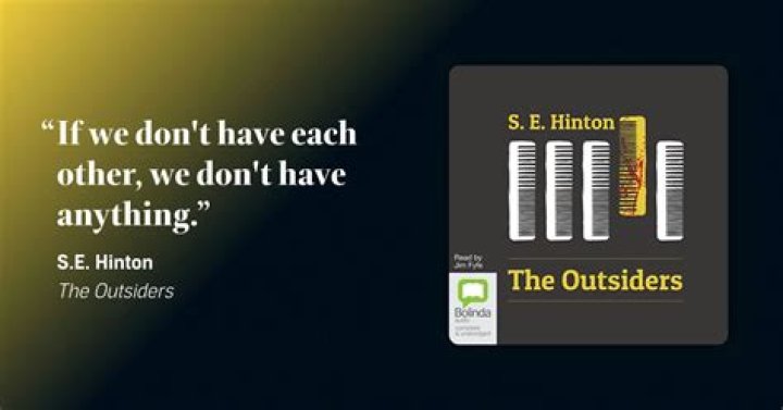 The Outsiders Book: Understanding Darry and His Role