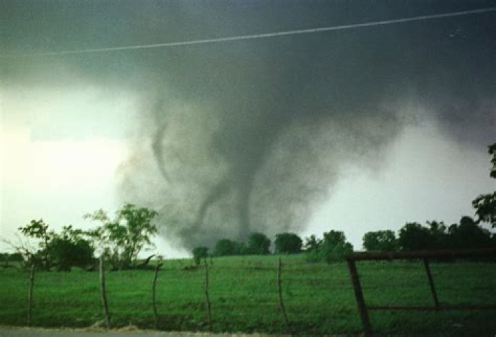 The Rise and Legacy of the Texas Tornado in WWF