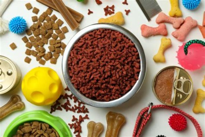 The Ultimate Guide to Freshness Pet: Premium Food for Your Beloved Companion