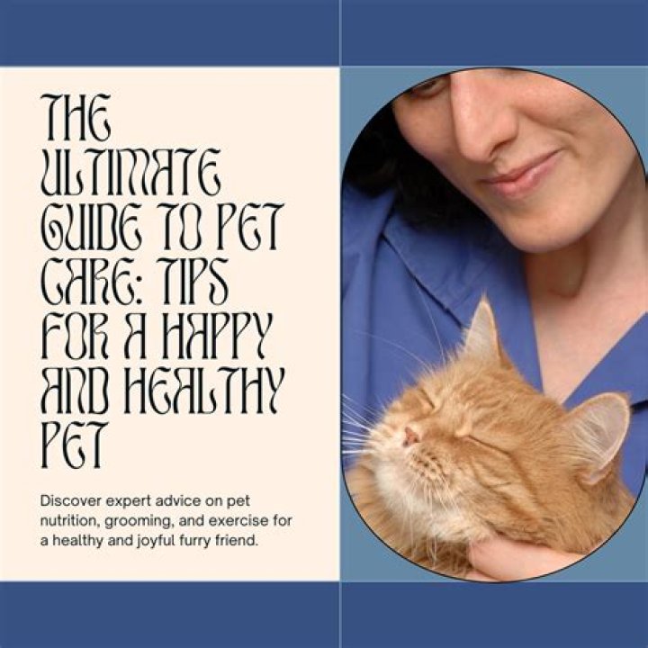 The Ultimate Guide to K9Lady: Your Trusted Pet Care Expert