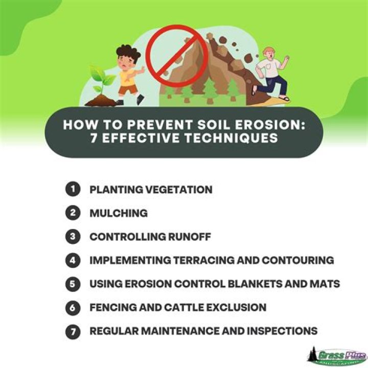 The Ultimate Guide to Preventing the Destruction of Daisies
