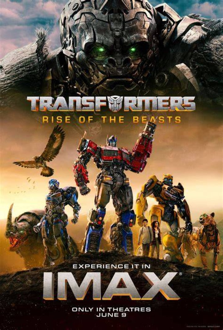 Transformers Film Actress: A Comprehensive Overview