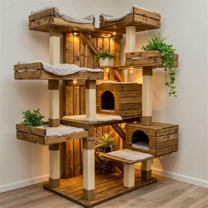 Ultimate Guide to Cat Tables: Elevate Your Feline's Space