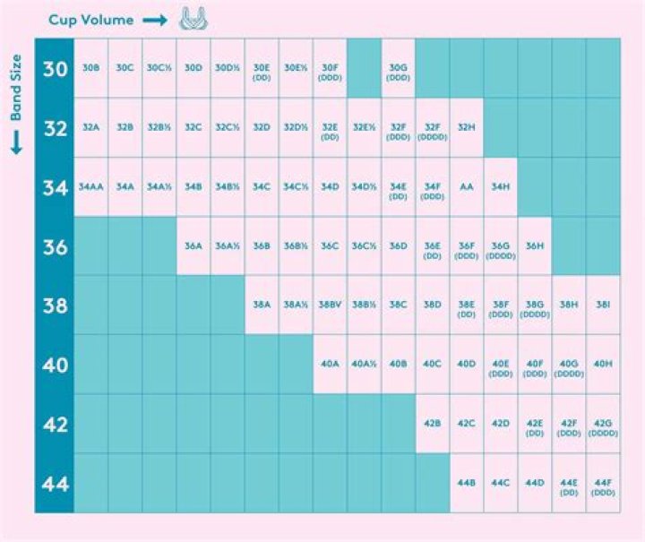 Ultimate Guide to Choosing the Best Bra for Huge Boobs
