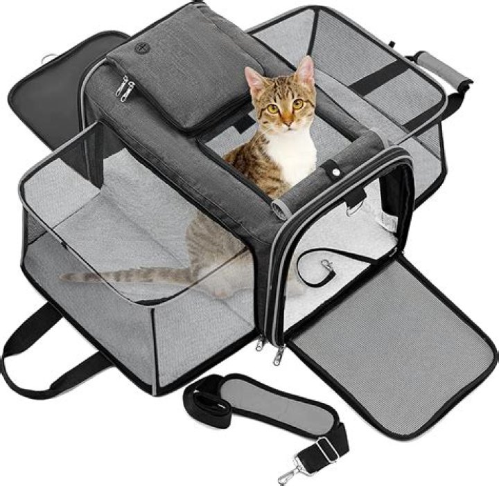 Ultimate Guide to Soft Cat Carriers: Comfort, Safety, and Convenience
