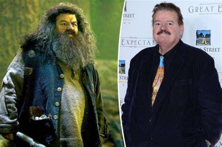 Uncover the House of Hogwarts Giant: Where Did Rubeus Hagrid Belong?