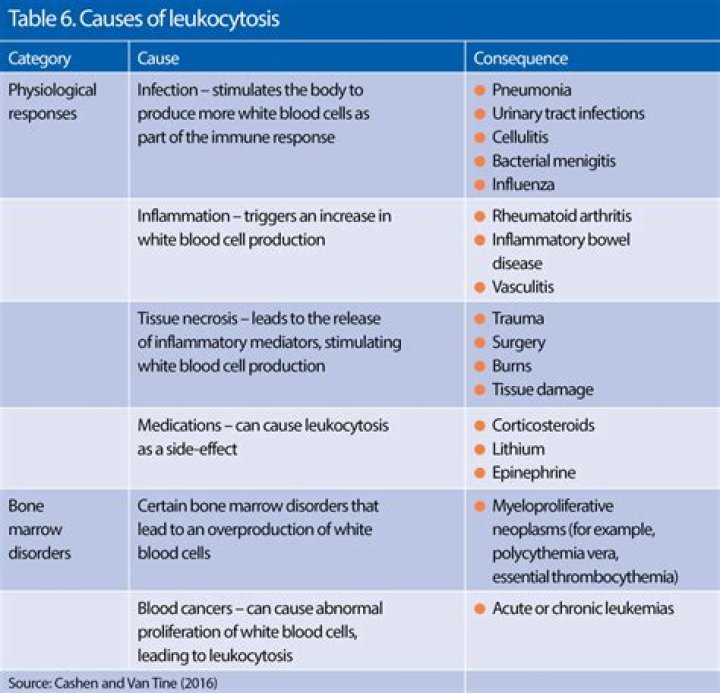 Uncover the Truth About Moha Meds: Your Guide to Safe and Effective Treatment