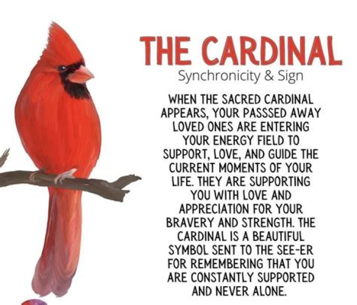 Understanding Cardinal Significance: A Comprehensive Guide