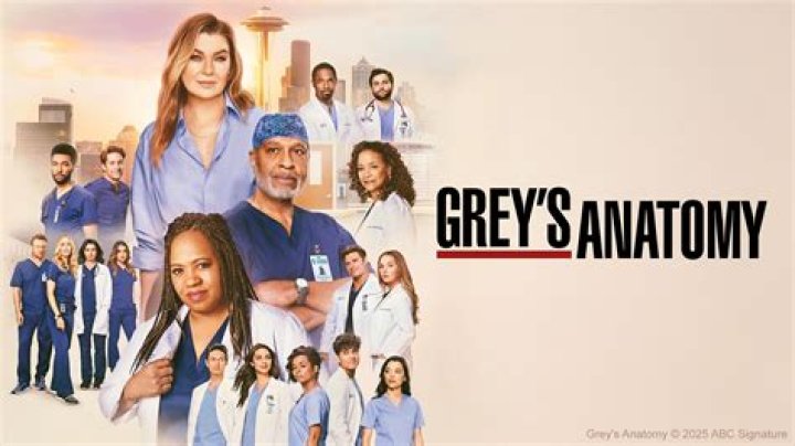 Understanding Izzie Stevens from Grey's Anatomy: A Comprehensive Analysis