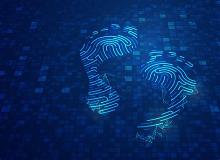 Understanding the Alana Cho Leaks: A Deep Dive into Privacy and Digital Footprints