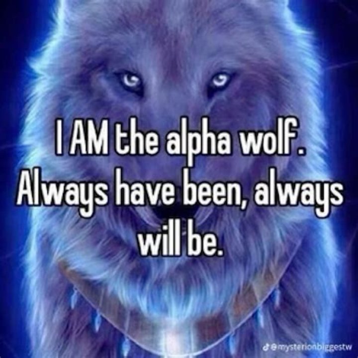 Understanding the Alpha Wolf Meme: Origins, Popularity, and Cultural Impact