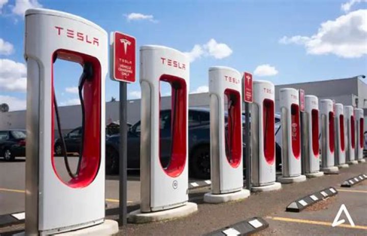 Unleashing the Dog Mode: A Comprehensive Guide to Tesla's Innovative Feature
